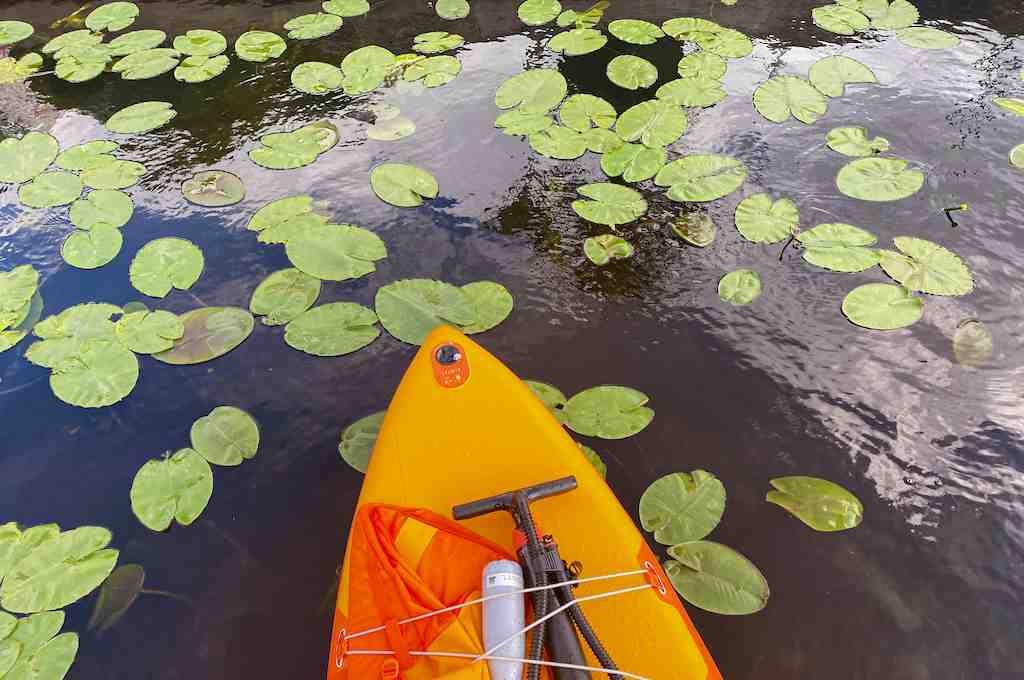 Melonta kuuluu suosittuihin aktiviteetteihin aktiivilomalla kesällä